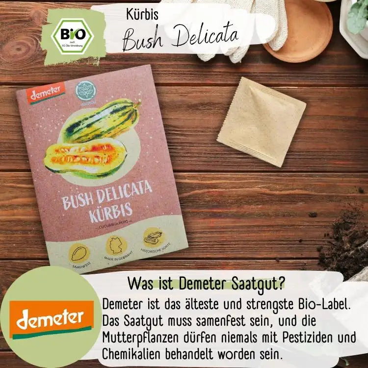 Demeter Kürbis Bush Delicata Samen