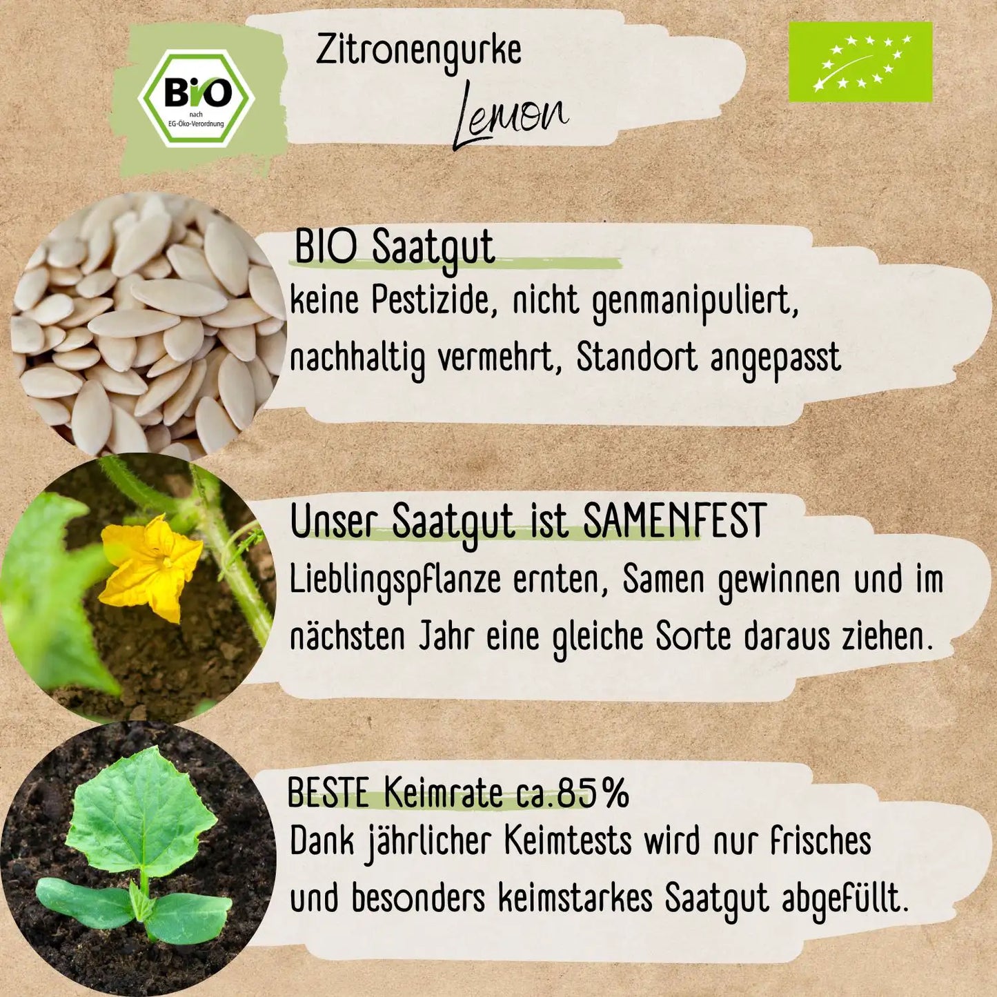 Bio Zitronengurke lemon Samen