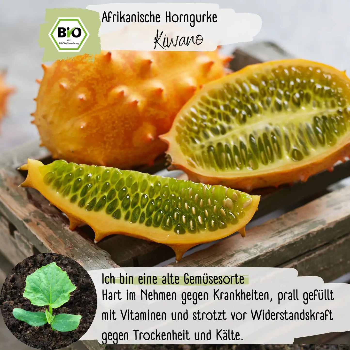 Bio Afrikanische Horngurke Kiwano Samen