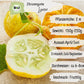Bio Zitronengurke lemon Samen