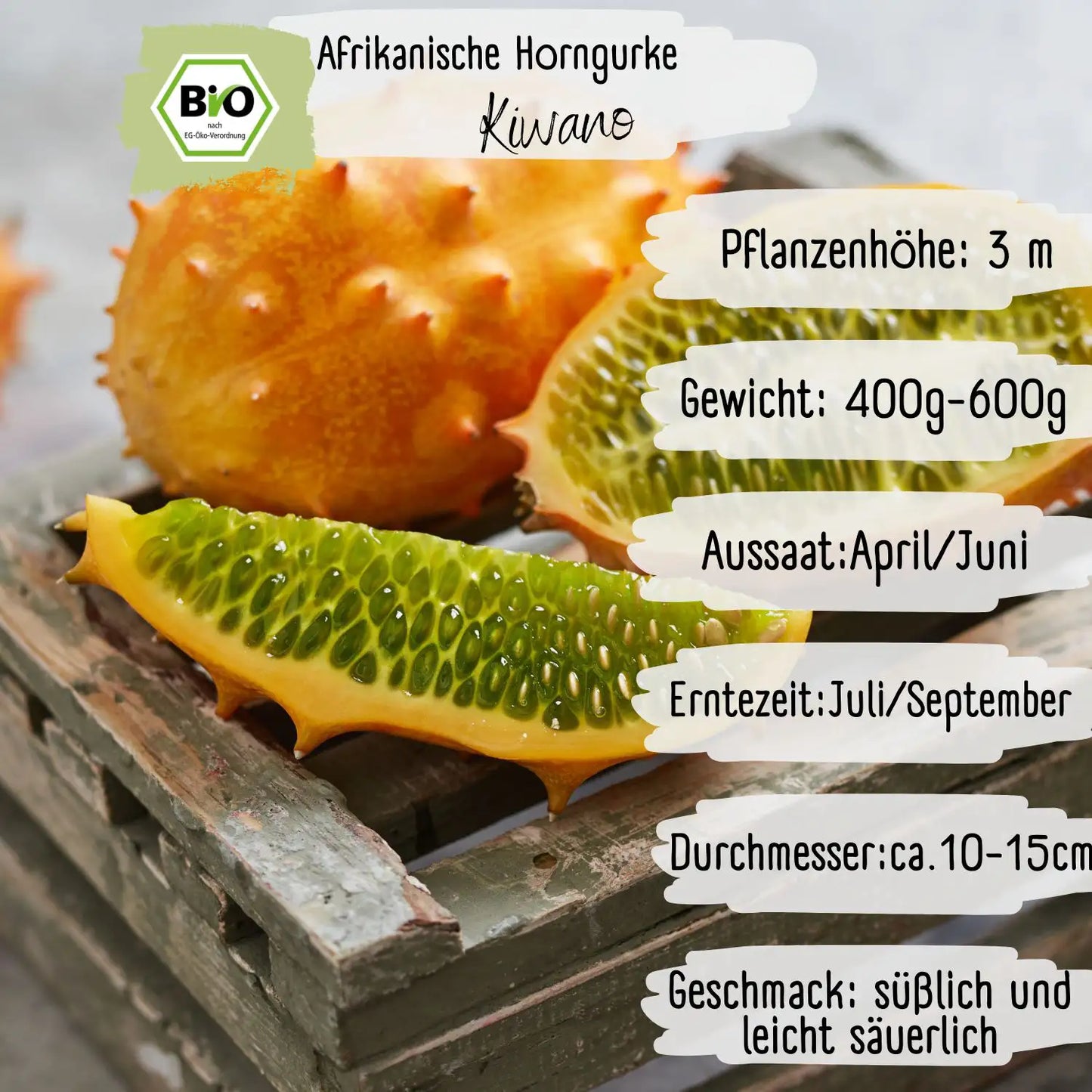 Bio Afrikanische Horngurke Kiwano Samen