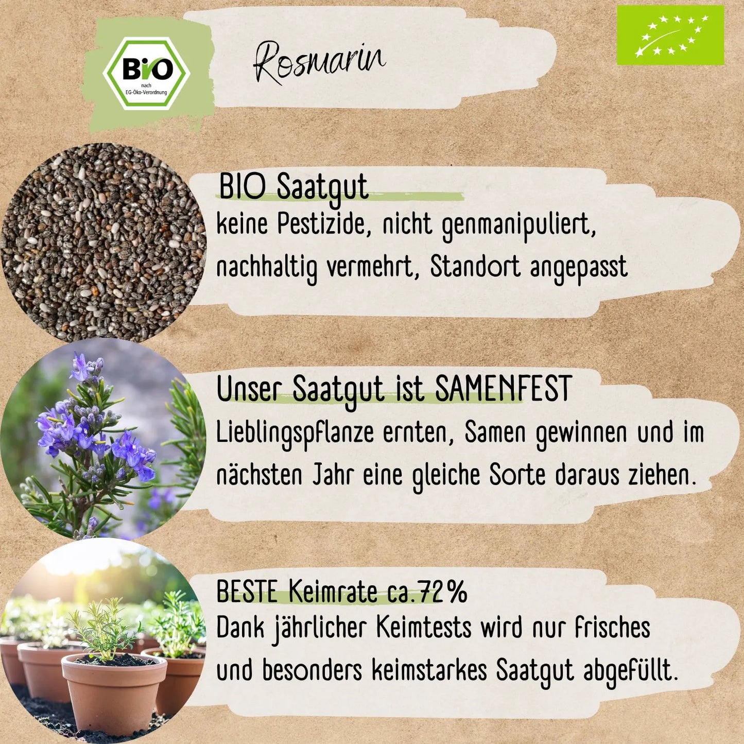 Bio Rosmarin Samen