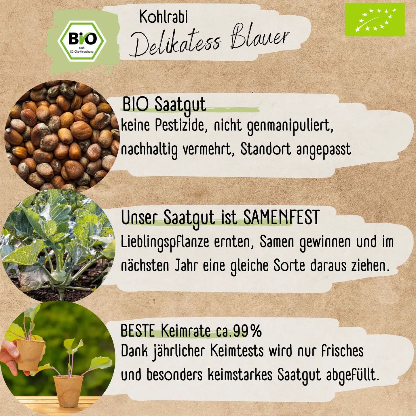 Bio Kohlrabi Samen
