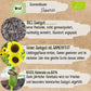Bio Sonnenblume Primrose Samen