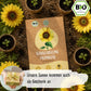 Bio Sonnenblume Primrose Samen