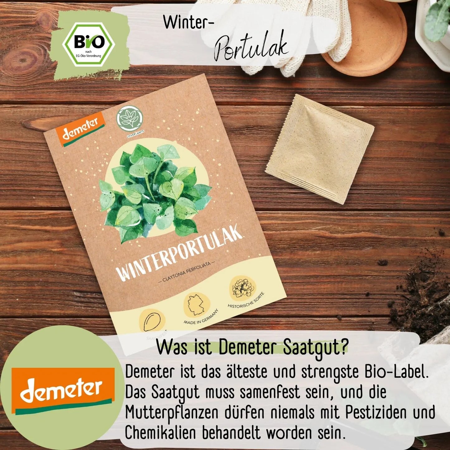 Demeter Winterportulak Samen