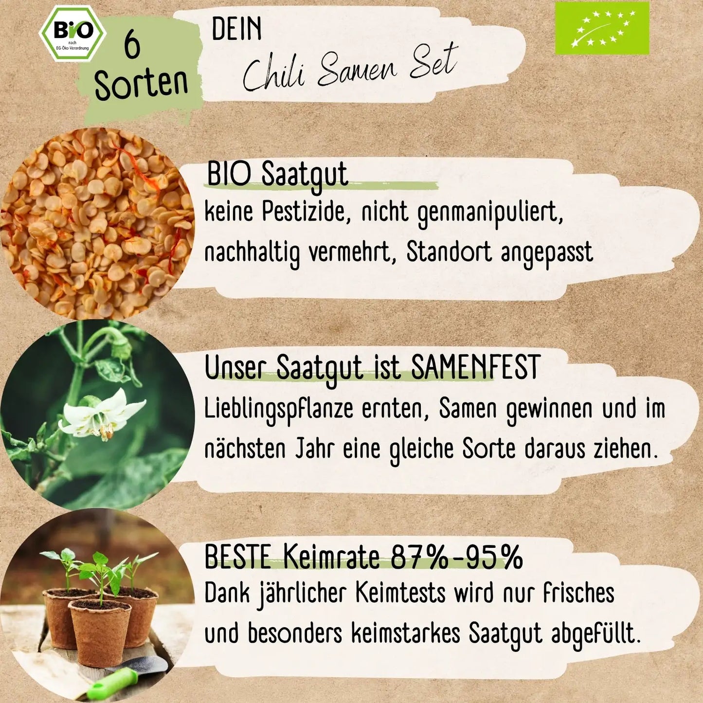Dein 6 Bio Chili Samen Set