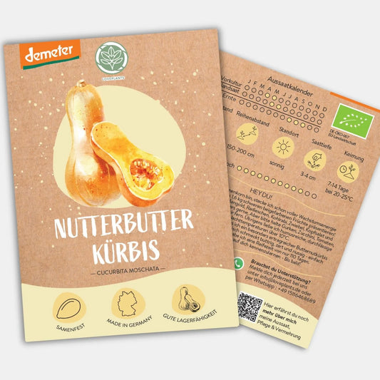 Demeter Kürbis Nutterbutter Samen
