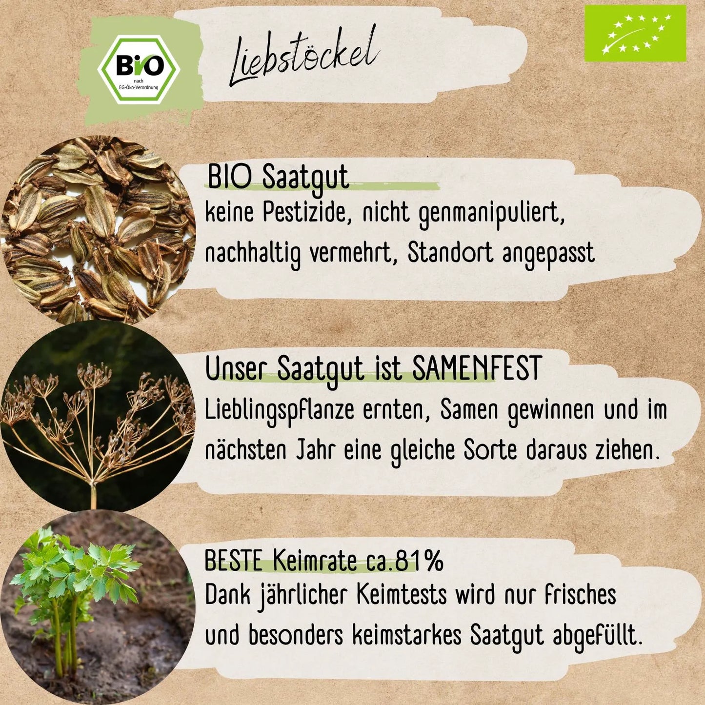 Bio Liebstöckel Samen