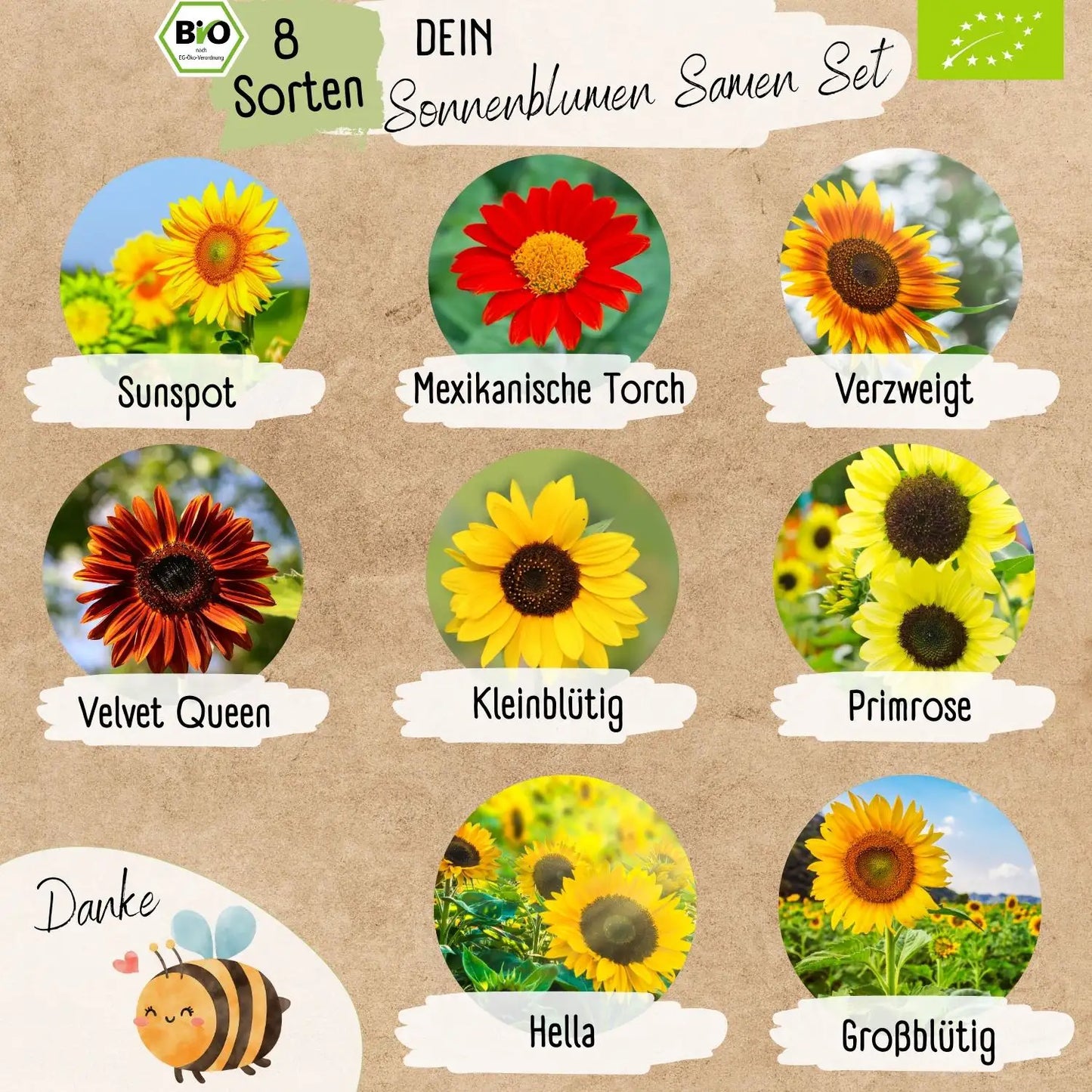 Dein 8 Bio Sonnenblumensamen Set