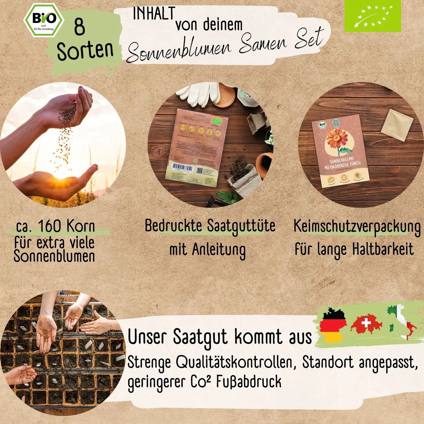 Dein 8 Bio Sonnenblumensamen Set