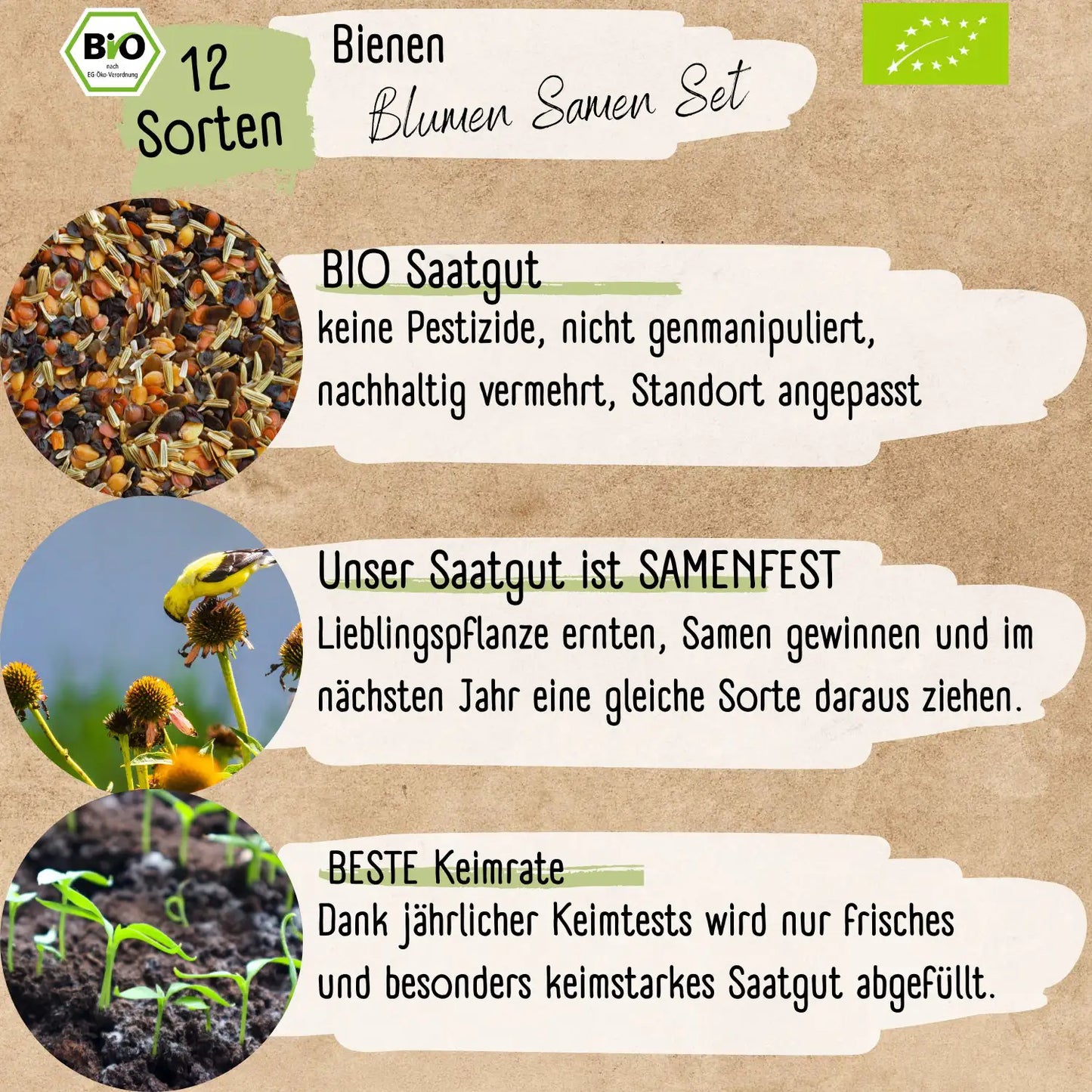 Dein 12 Bio Bienen Blumensamen Set