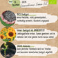 Dein 8 Bio Sonnenblumensamen Set