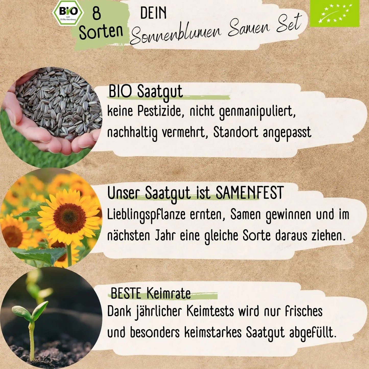 Dein 8 Bio Sonnenblumensamen Set