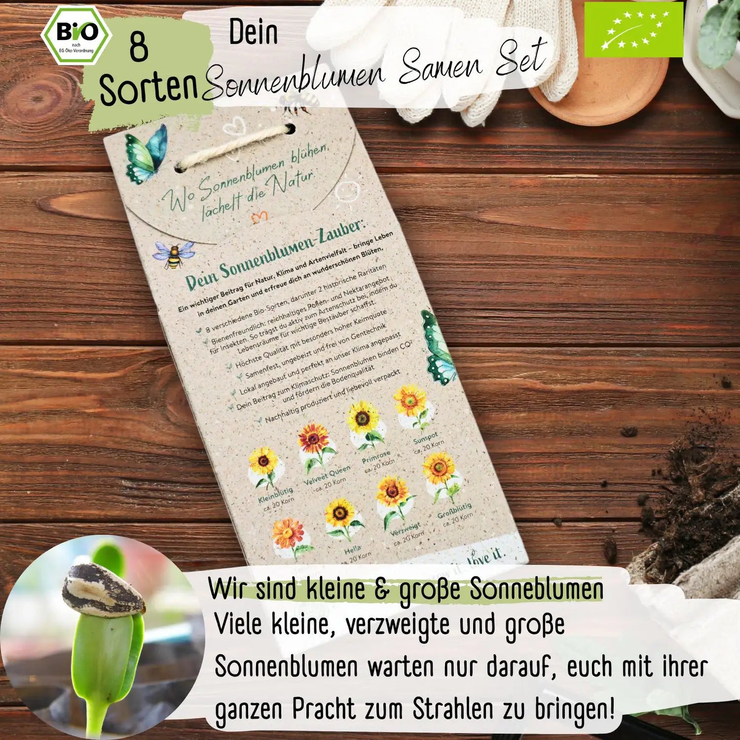 Dein 8 Bio Sonnenblumensamen Set