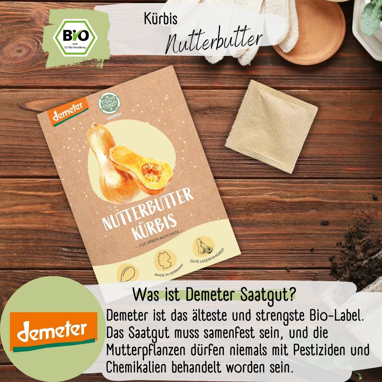 Demeter Kürbis Nutterbutter Samen