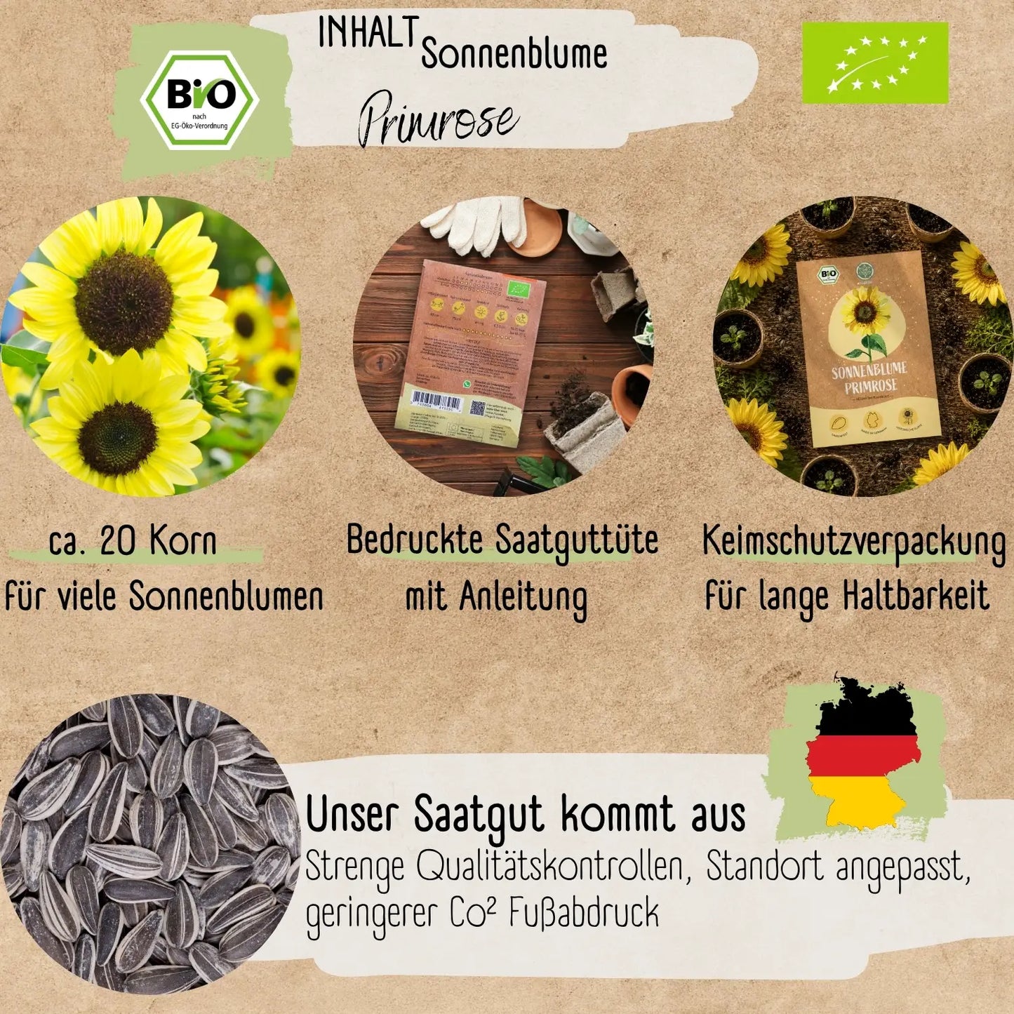 Bio Sonnenblume Primrose Samen