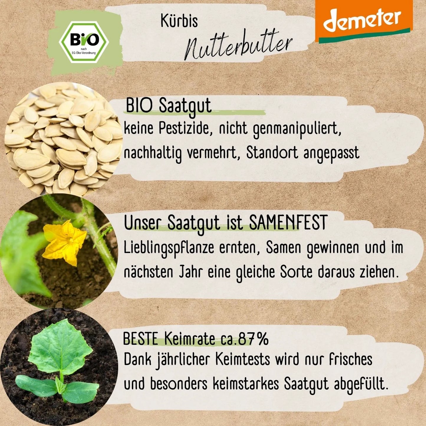 Demeter Kürbis Nutterbutter Samen