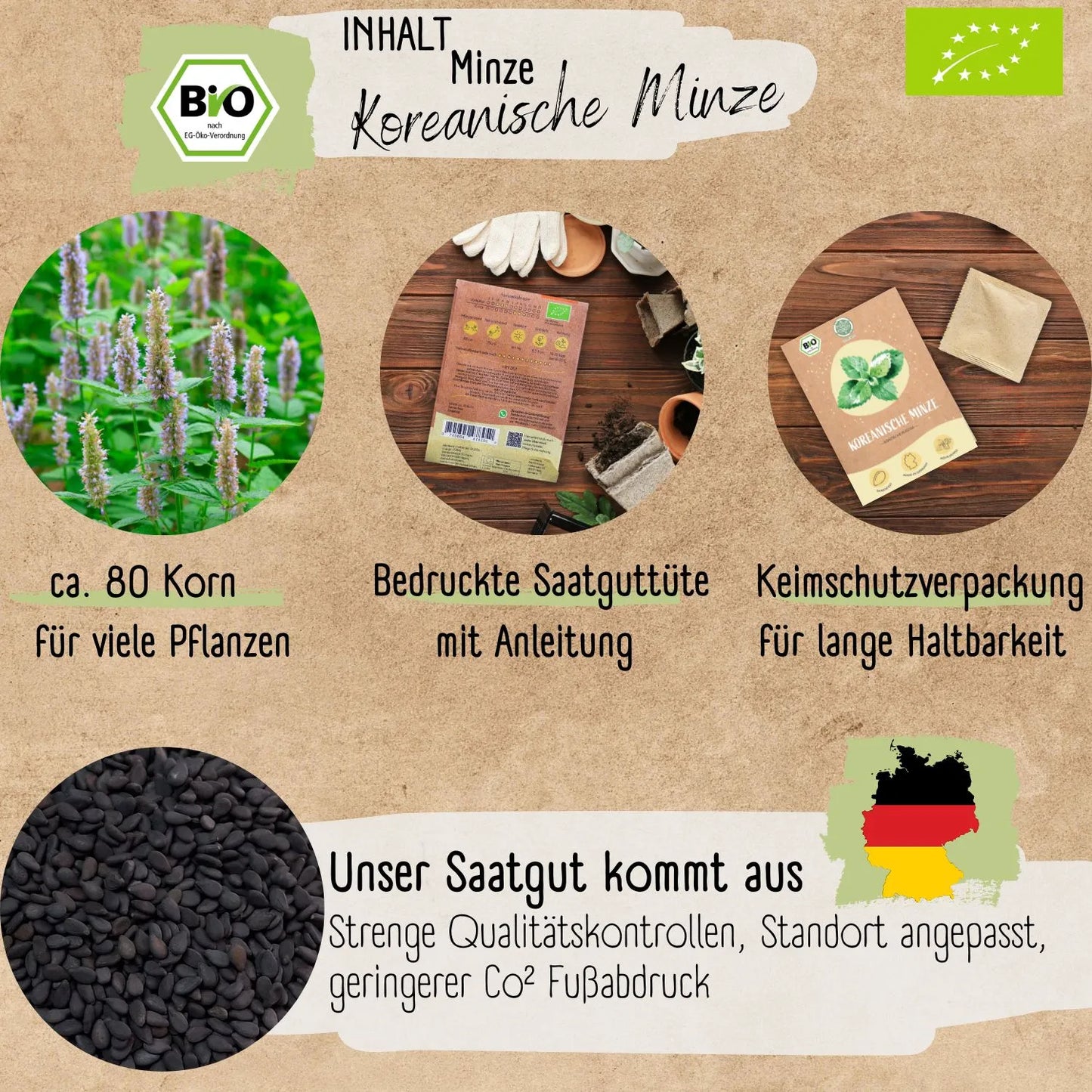 Bio Koreanische Minze Samen