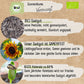Bio Sonnenblume Verzweigt Samen