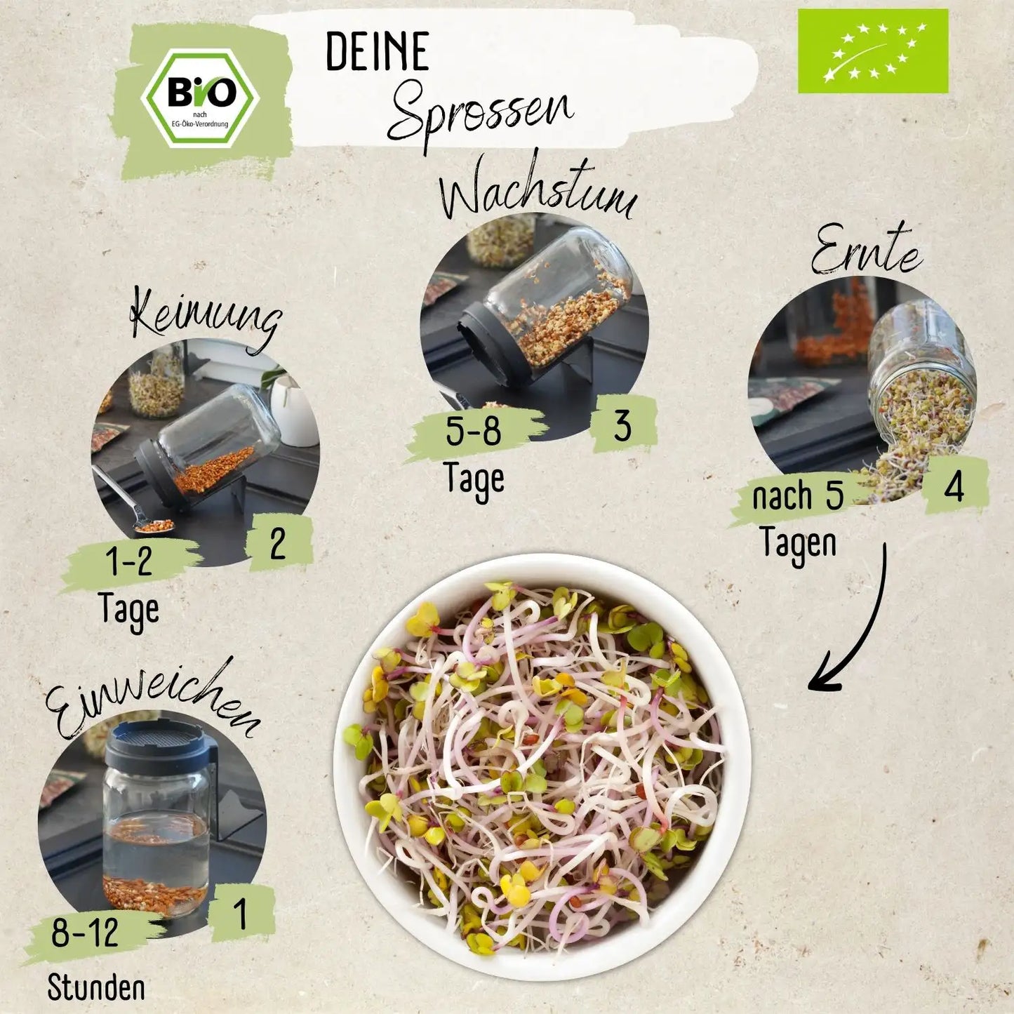 Dein 5 Bio Sprossen Anzuchtset