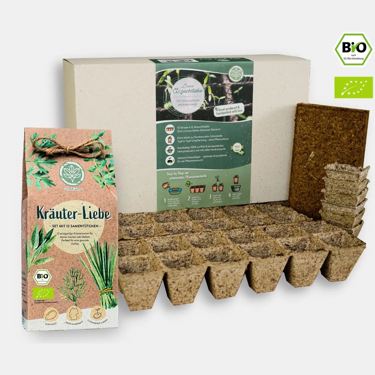 Kräuter Starter Set