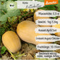 Demeter Kürbis Nutterbutter Samen