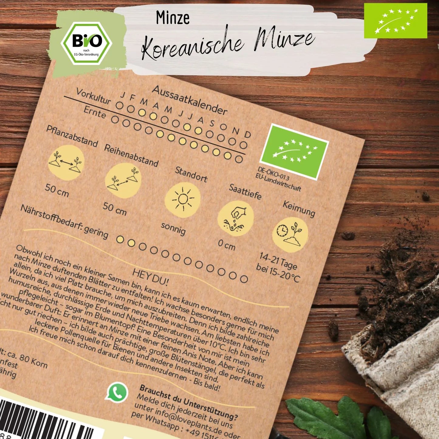 Bio Koreanische Minze Samen