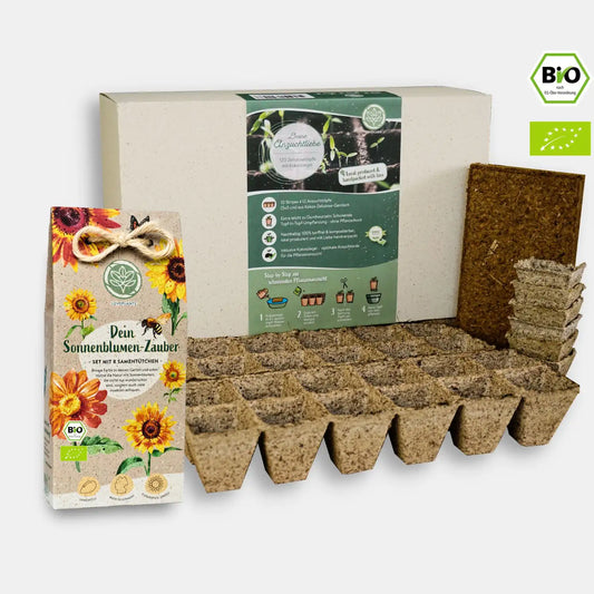 Sonnenblumen Starter Set