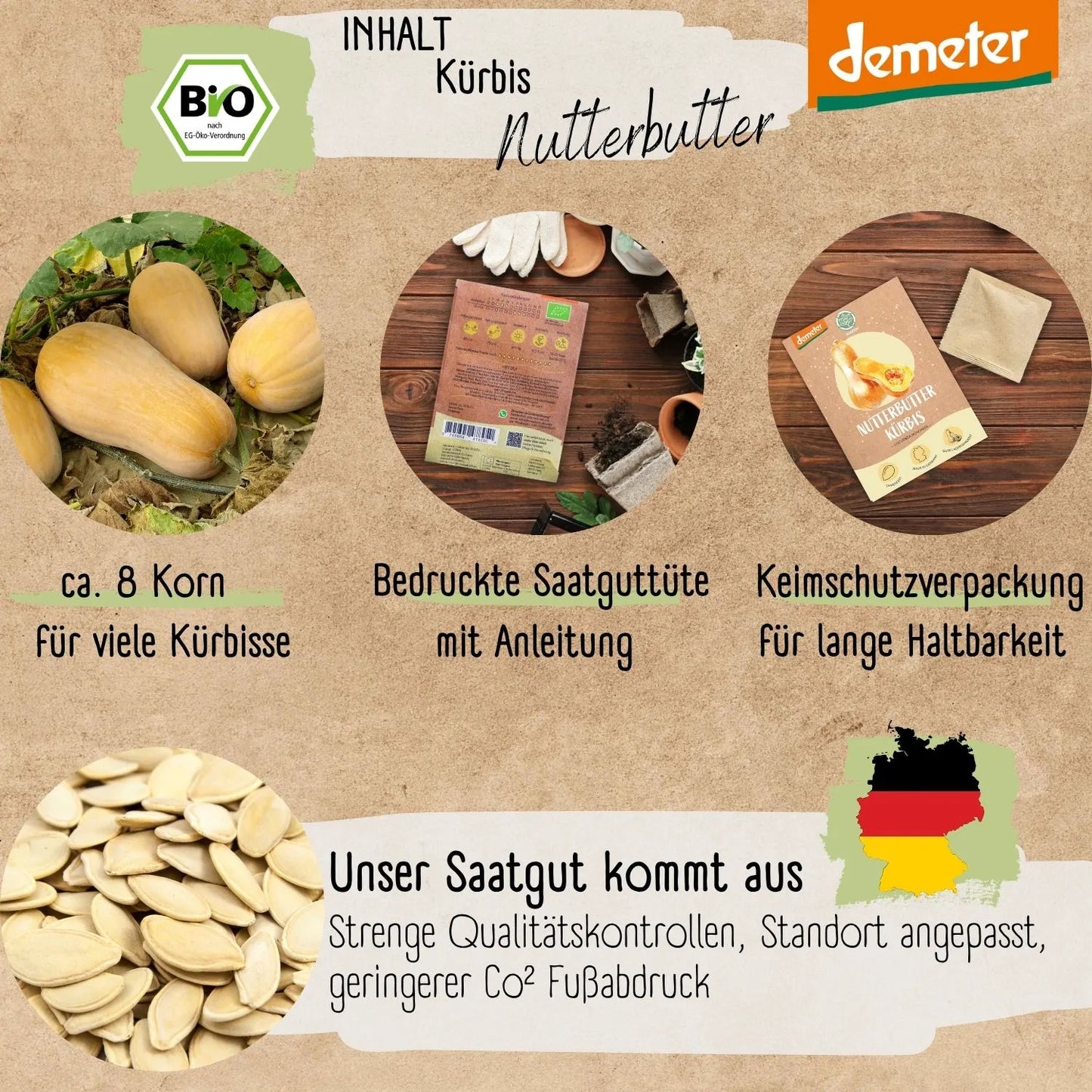 Demeter Kürbis Nutterbutter Samen