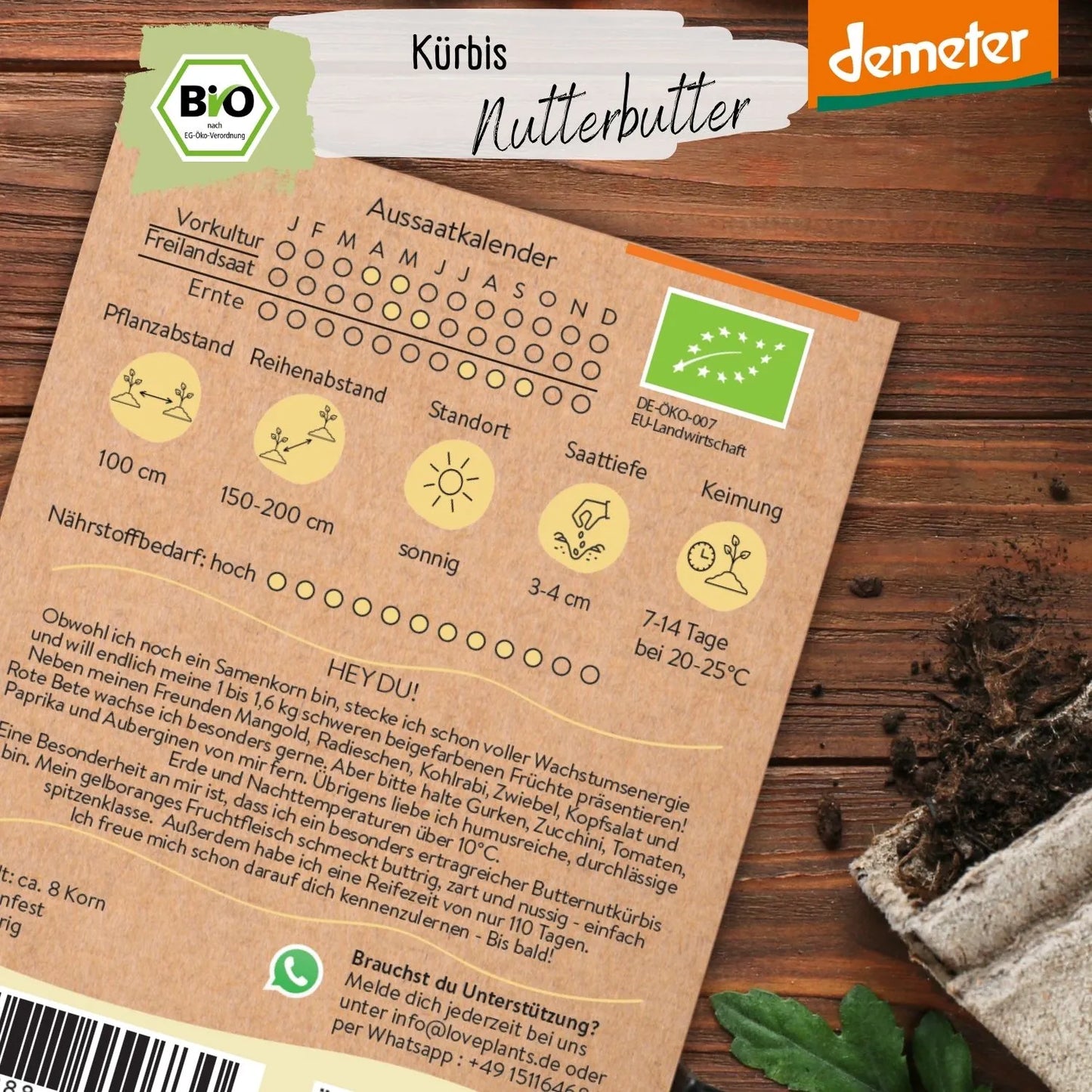 Demeter Kürbis Nutterbutter Samen