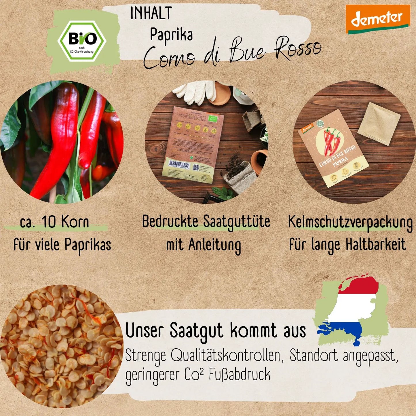 Bio Paprika Corno di bue Rosso Samen