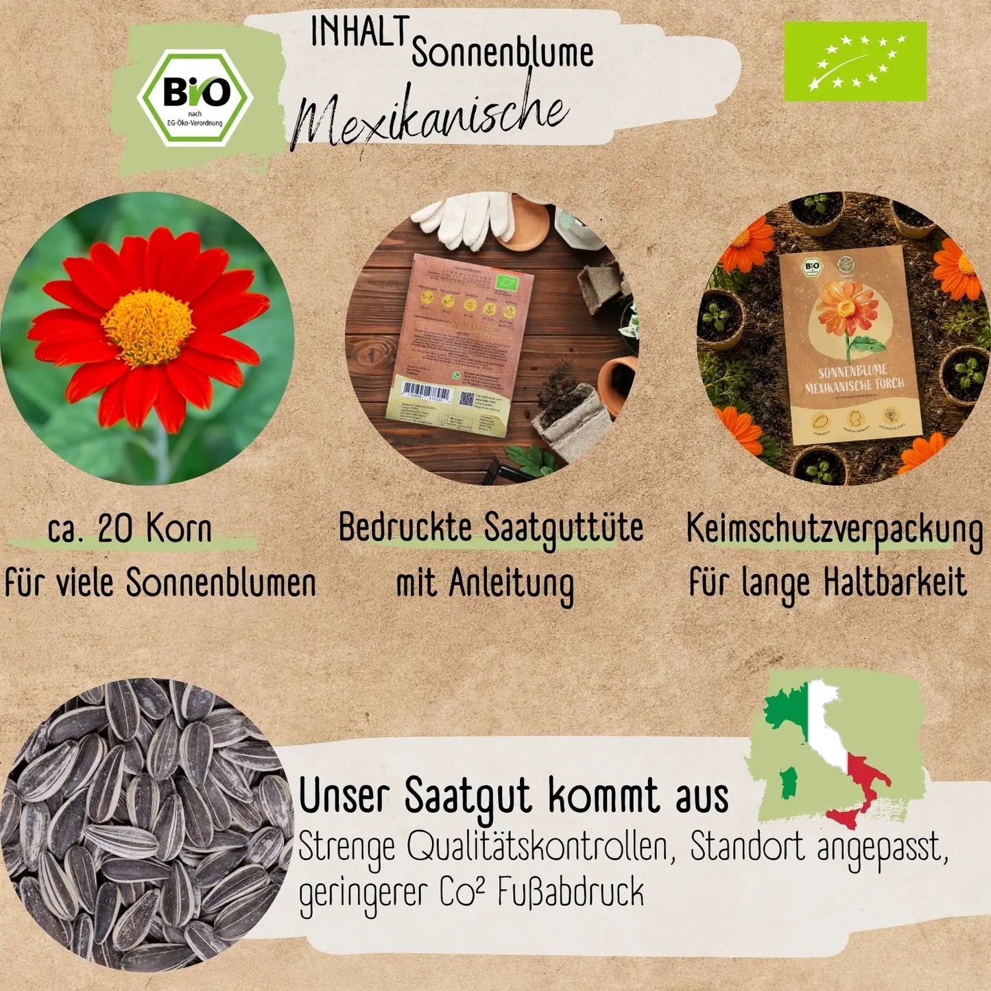 Bio Mexikanische Sonnenblume Samen