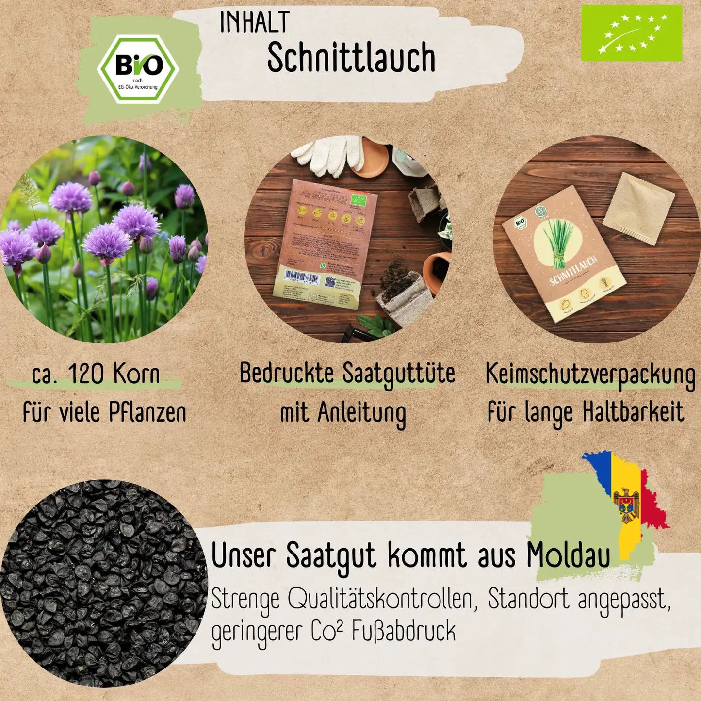 Bio Schnittlauch Samen
