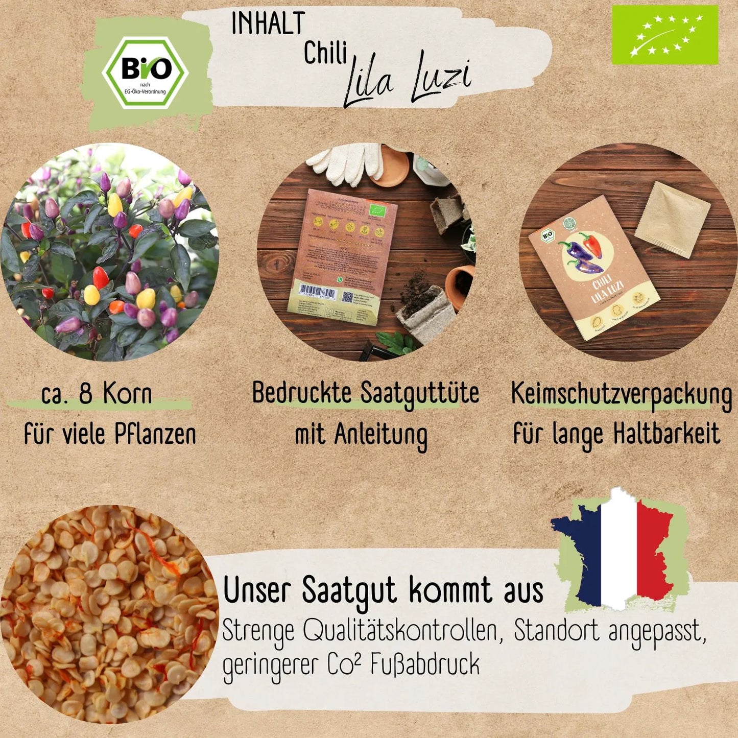Bio Lila Luzi Samen