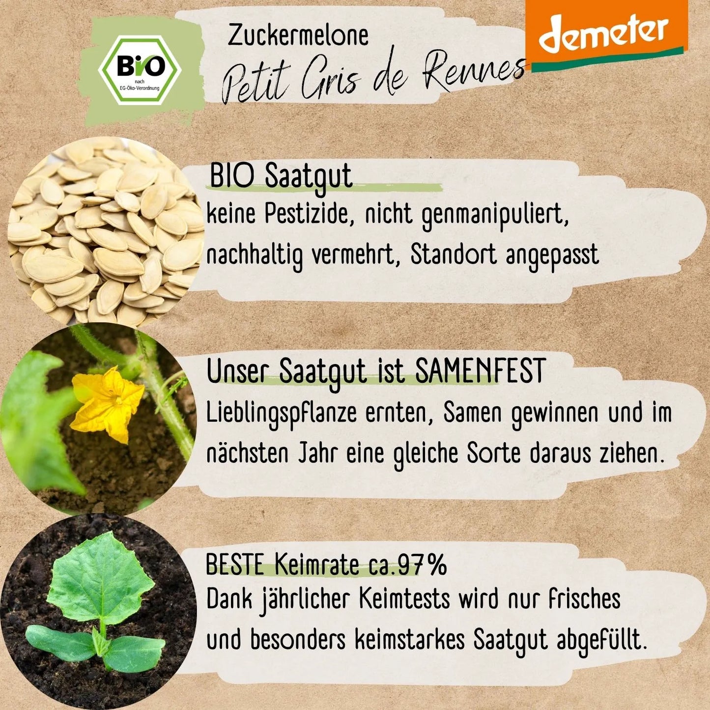 Demeter Zuckermelone Rennes Samen