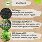 Bio Schnittlauch Samen