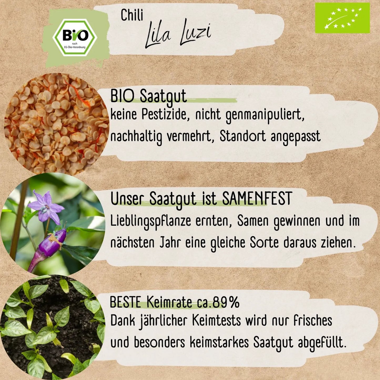 Bio Lila Luzi Samen