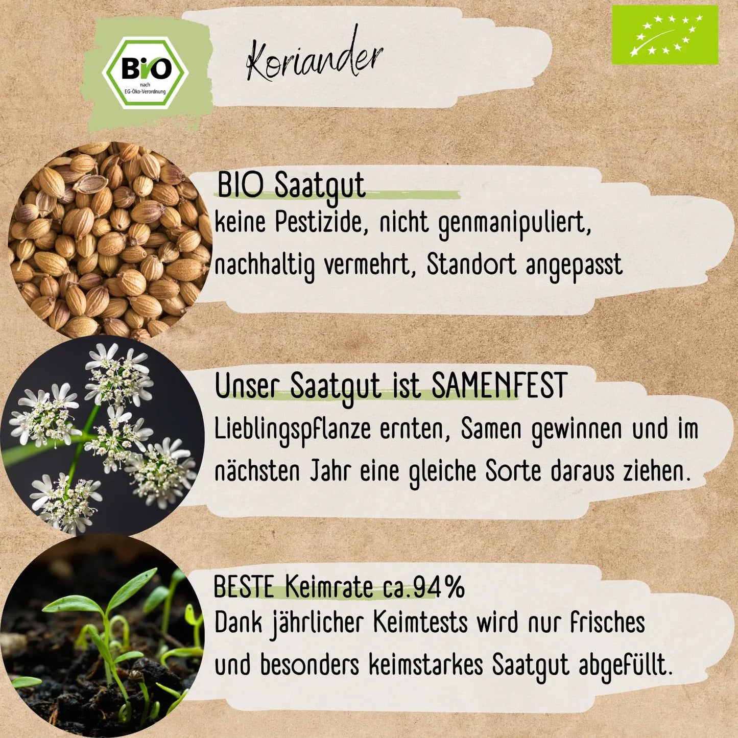 Bio Koriander Samen