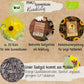 Bio kleinblütige Sonnenblumen Samen