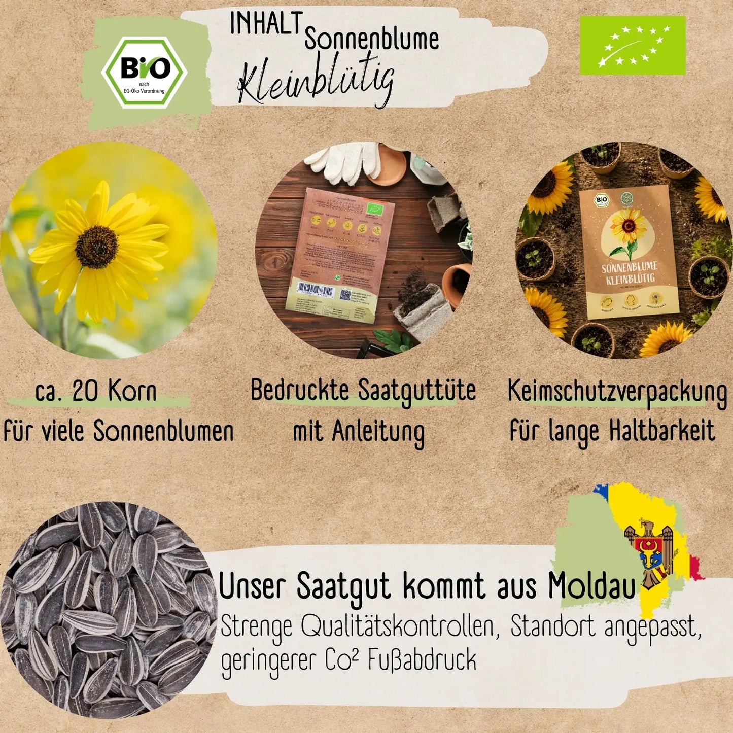 Bio kleinblütige Sonnenblumen Samen