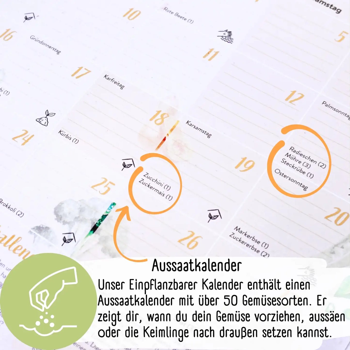 Einpflanzbarer Kalender 2025