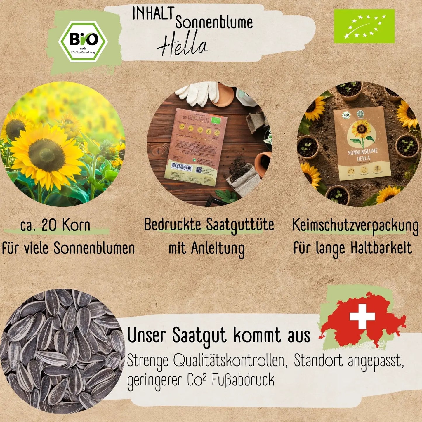 Bio Sonnenblume Hella Samen