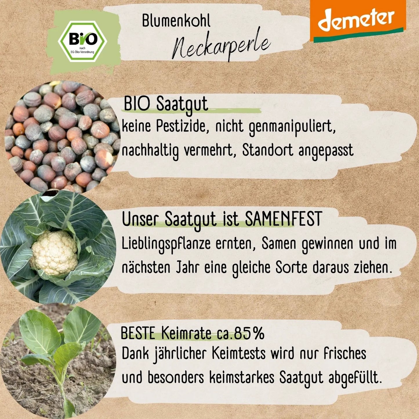 Demeter Blumenkohl Neckarperle Samen