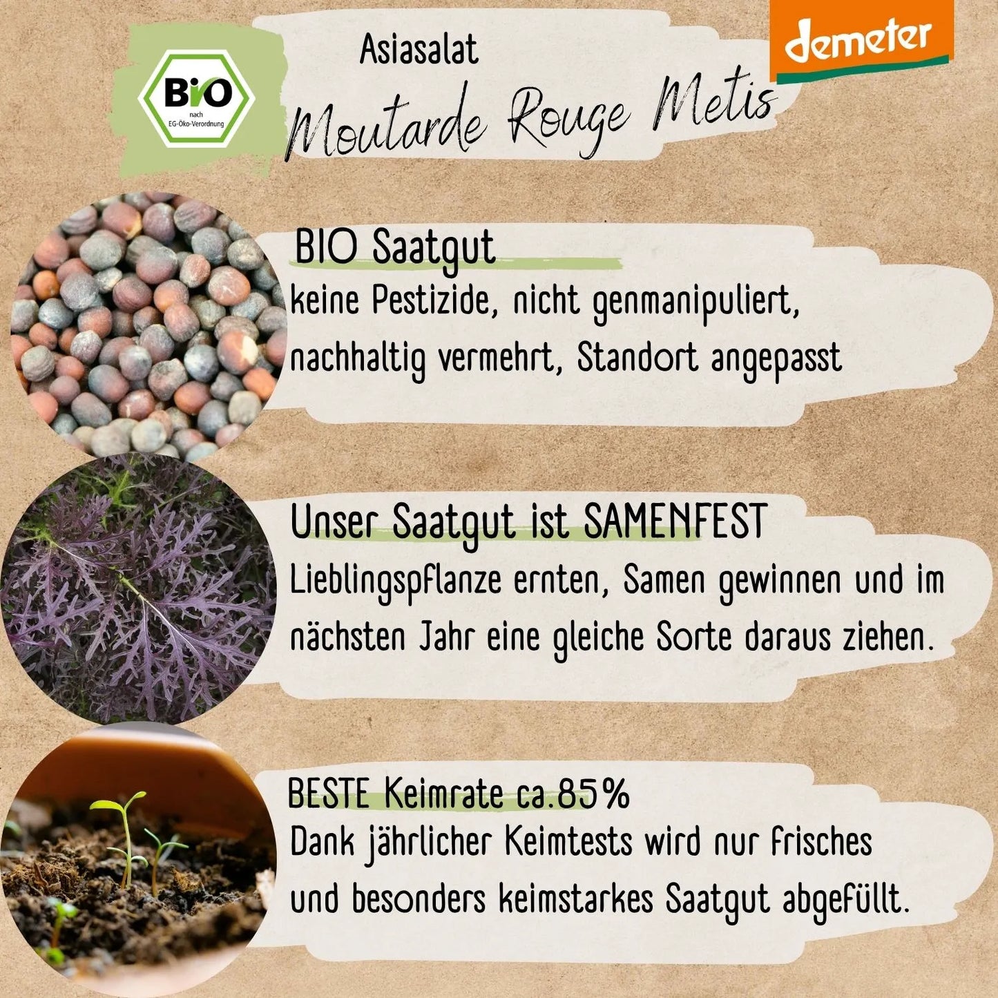 Demeter Asiasalat Purple Mizuna Samen
