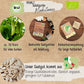 Bio Salatgurke Marketmore Samen