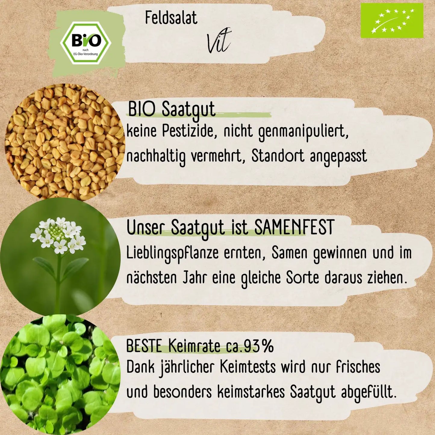 Bio Feldsalat Samen