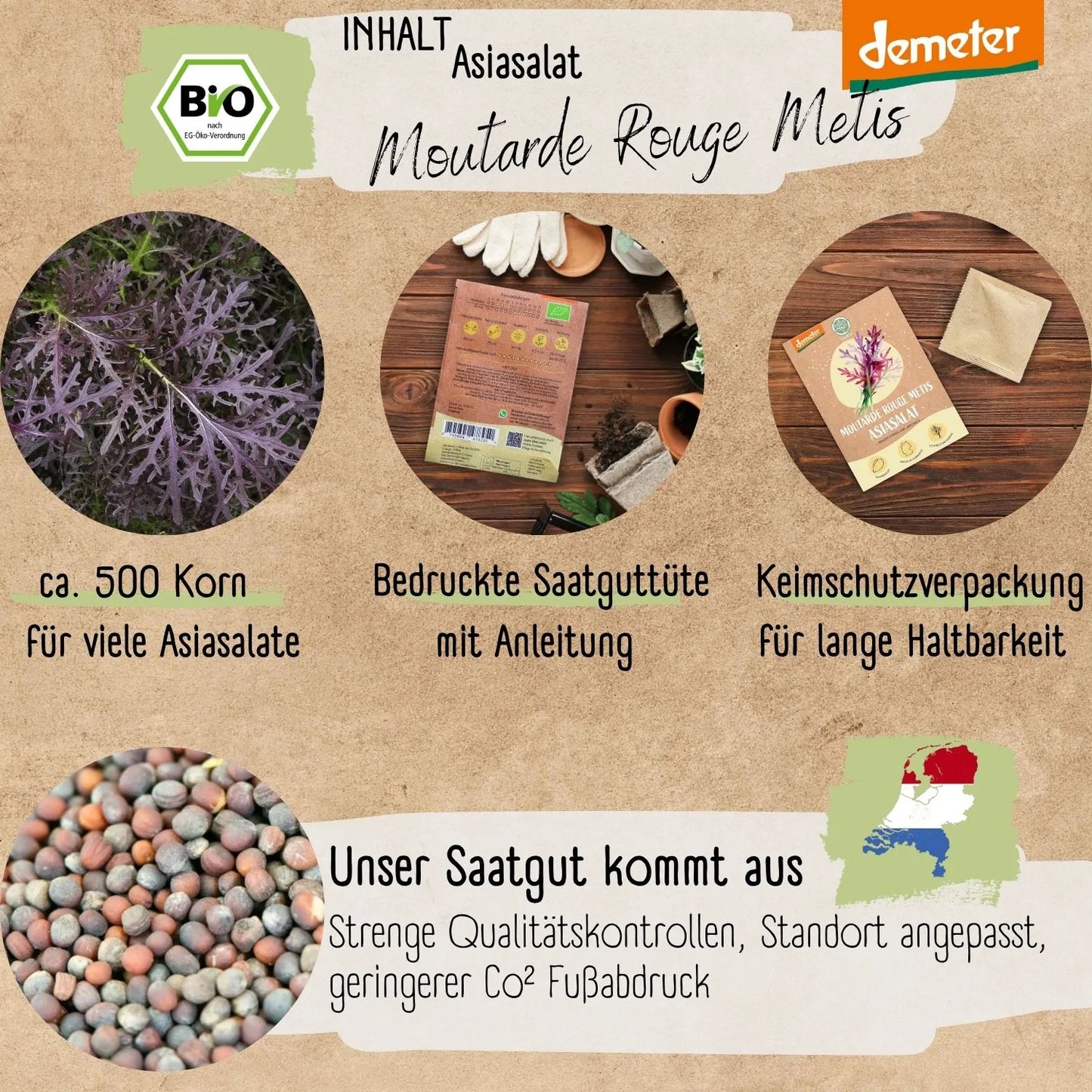 Demeter Asiasalat Purple Mizuna Samen