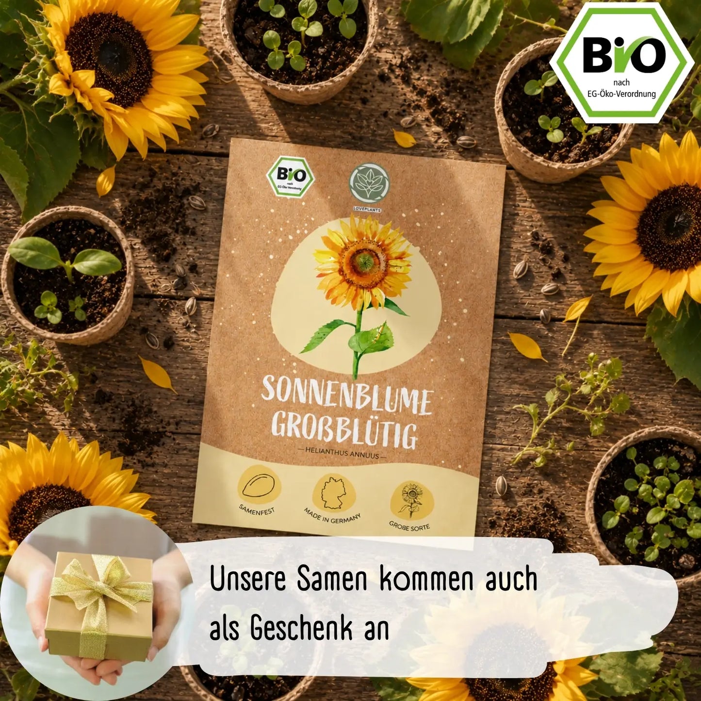 Bio Riesen Sonnenblumen Samen