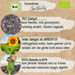 Bio Riesen Sonnenblumen Samen